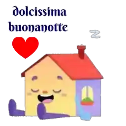 notte ani
