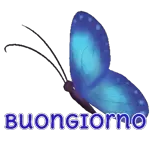 farfalle animate