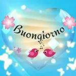 buongiorno 