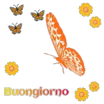 buongiorno
