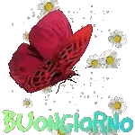 BUON GIORNO