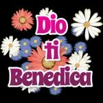 baci.       
