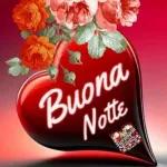 Buona Notte