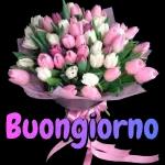 Con il sole arriva il buongiorno ☀️