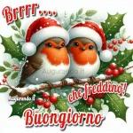 f DI CAPODANNO! BUONA VIGILIA