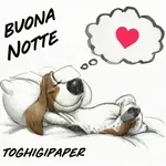 buona notte