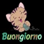 Buon Caldo