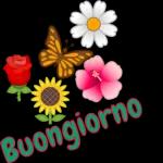 carino bambino