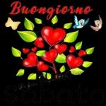 Vieni e raccogli le benedizioni di sabato, per te!