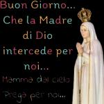 Buonasera,un abbraccio 