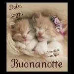 Un saluto con amore a tutti gli amici che passano nel cuore