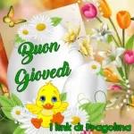 Buona Domenica Delle PALME