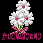 BUON VENERDI