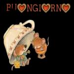 BuonaGionnata