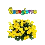 Buona domenica a te