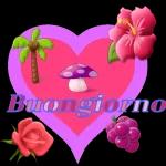 Buon Giorno Frasilandia.com