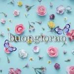 buongiorno 