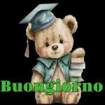 Buongiorno del caro orso 🐻 