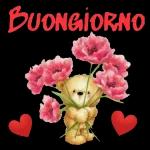 Buongiorno, BUONA DOMENICA