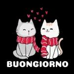 Ti voglio bene