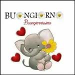 buonanotte