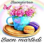Buon Martedi 
