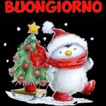 Buona Notte