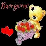 ate-Go 2/2012
Buona
Notte
Mkwishes.com
sogni d'oro