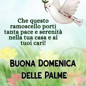 I battiti del Cuore Che questo porti ramoscēllo tanta pace e serenità nella tua casa e ai tuoi cari! BUONA DOMENICA DELLE PALME - getsticker.com