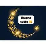 nonna terry 29