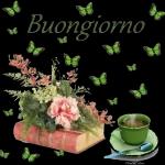 Buona mattinata