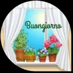ti voglio tanto bene