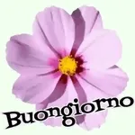 BUONGIORNO