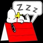 Serena notte