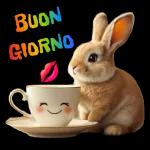 pasquale 