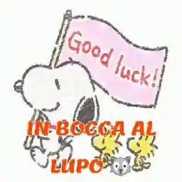 I'm the leader of the pack, I'm the one that you want, I'm the one that you need