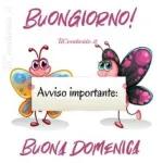 Avviso：Buon domenica!