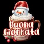 Buonasera,un abbraccio 