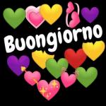 Buonasera,un abbraccio 