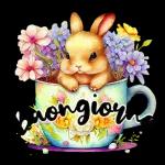 Buona Notte Sogni d'Oro