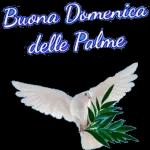 Buone Palme