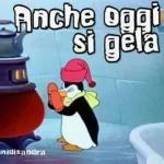 Fa così freddo❄️