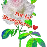 Buongiorno