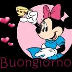 il cuore in ogni cosa.