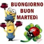 buon martedì  a tutti