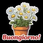 BGiorno