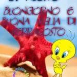 BUON FERRAGOSTO