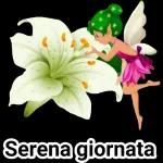 il mio buongiorno di cuore 🧡