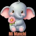 Love is the flower you've got to let grow.