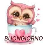 buon Santo stefano